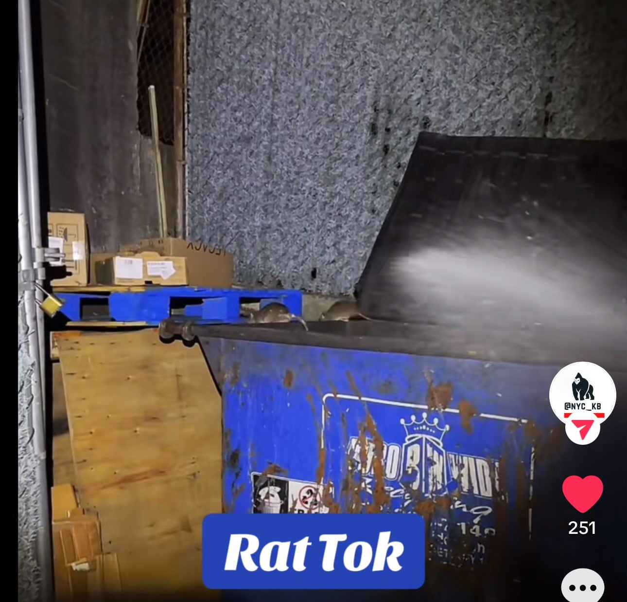 Infinity Shields Protects™ | Rodent Deterrent Spray | Hyper Green | Long-Lasting 32oz Peppermint | Single - Hyper Green