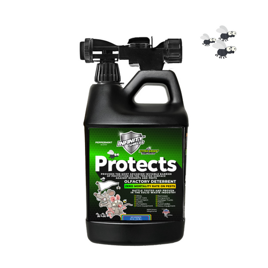 Infinity Shields Protects | Equestrian Fly Deterrent | 65oz Barn Hose Rinse | Peppermint Mist
