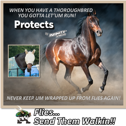 Infinity Shields Protects | Equestrian Fly Deterrent | 65oz Barn Hose Rinse | Peppermint Mist