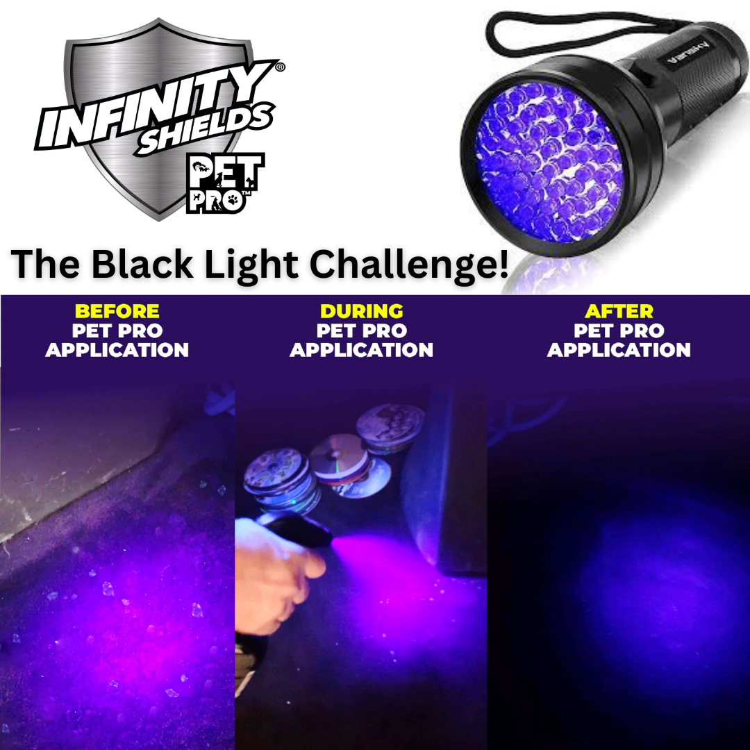 Infinity Shields® Pet Pro™ | Détachant et anti-odeurs d'animaux | Empêche la re-salissure | Pichet de 1 gallon | Frais et propre)