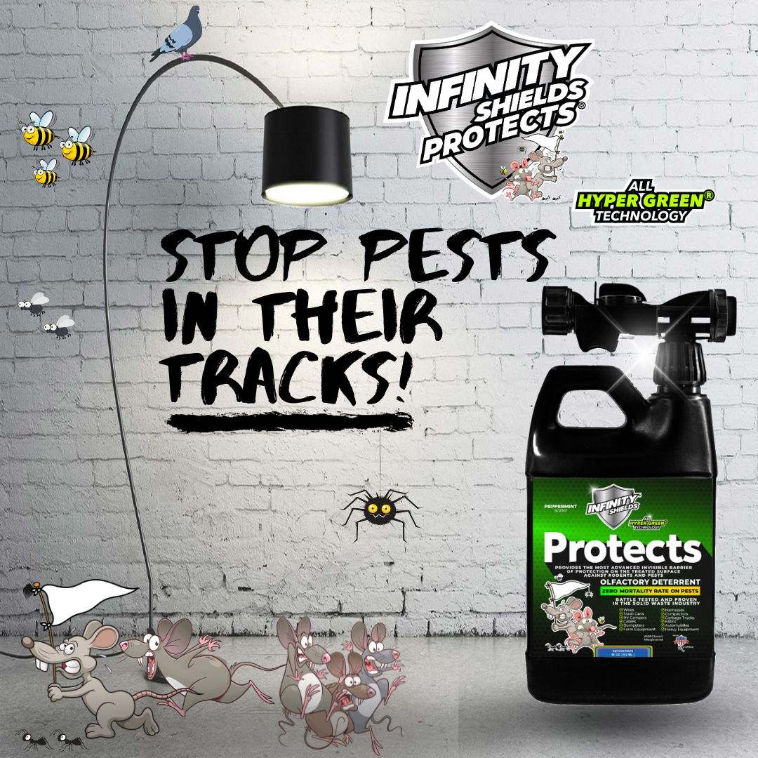 Infinity Shields protege™ | Spray disuasivo de roedores | Hiperverde | Concentrado de larga duración de 65 oz | Enjuague de manguera | Menta | Caso de 6